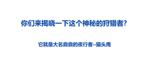 《黑夜狩猎者猫头鹰》