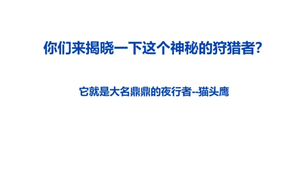 《黑夜狩猎者猫头鹰》
