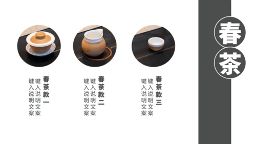 茶业店春茶产品介绍宣传手册通用PPT模板