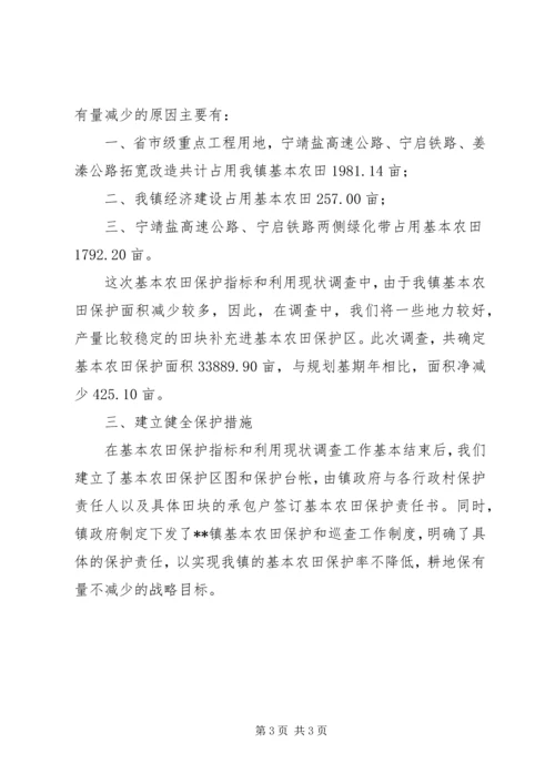 乡镇基本农田保护指标与利用现状调查工作总结调研报告范文.docx