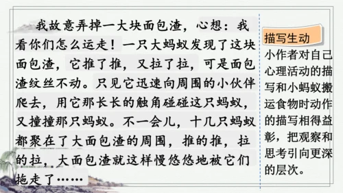 部编版三年级上册语文 习作：我们眼中的缤纷世界 课件