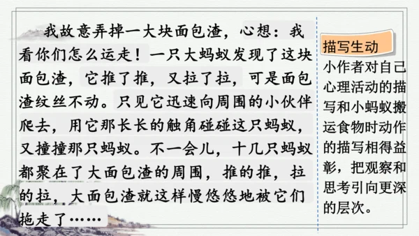 部编版三年级上册语文 习作：我们眼中的缤纷世界 课件