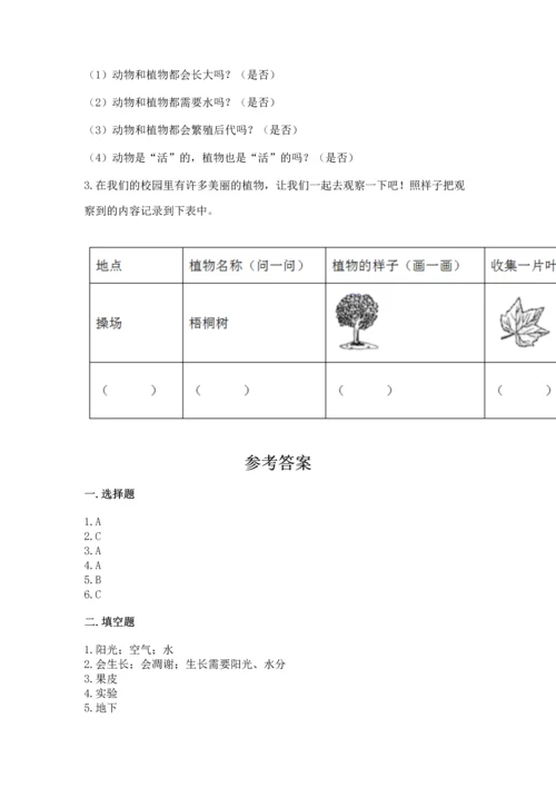 教科版科学一年级上册第一单元《植物》测试卷（典型题）.docx