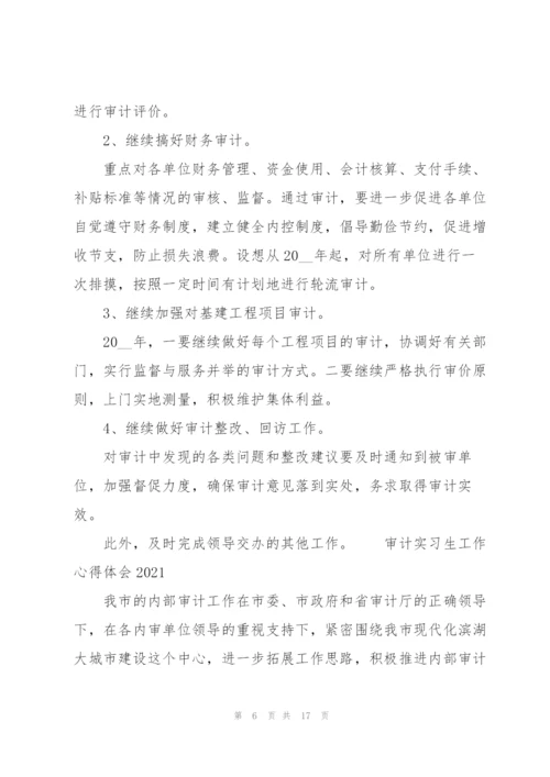 审计实习生工作心得体会2021三篇.docx