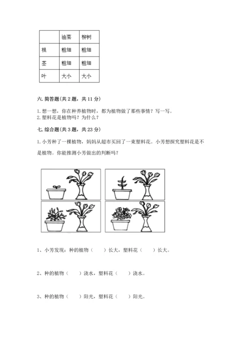 教科版科学一年级上册第一单元《植物》测试卷及参考答案（新）.docx