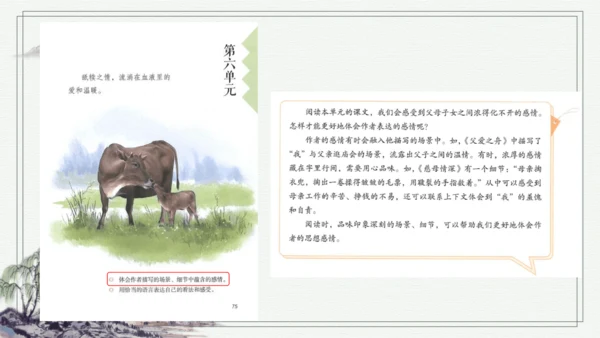 部编版五年级上册语文 语文园地六 课件