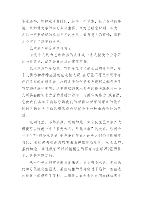 艺术素养综合素质评价.docx