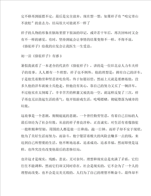 初一读骆驼祥子有感