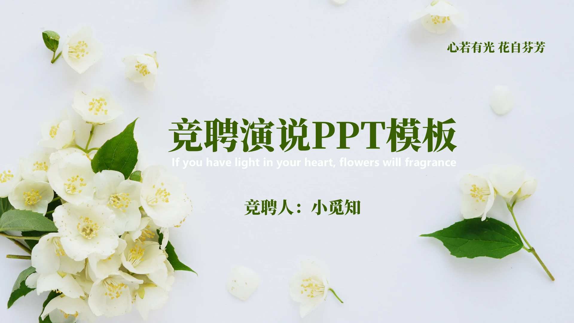 绿色简约小清新竞聘个人简历求职应聘PPT模板