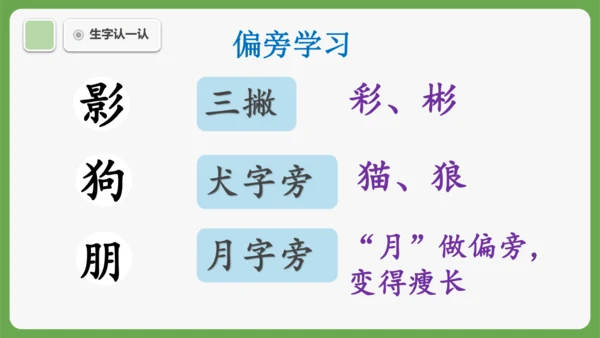 6《影子》课件