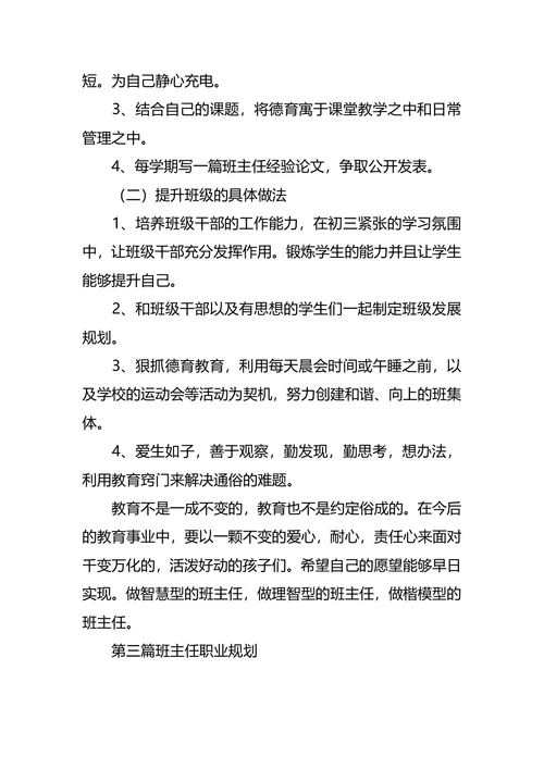 班主任职业生涯规划书范文