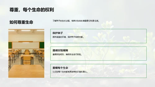 探索种子生命之旅