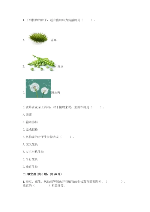 教科版科学四年级下册第一单元《植物的生长变化》测试卷word.docx