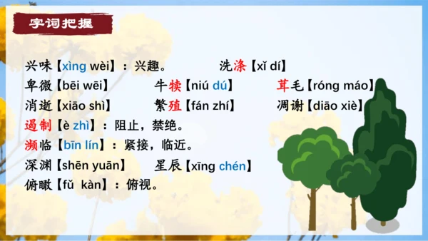 16.散文二篇 课件