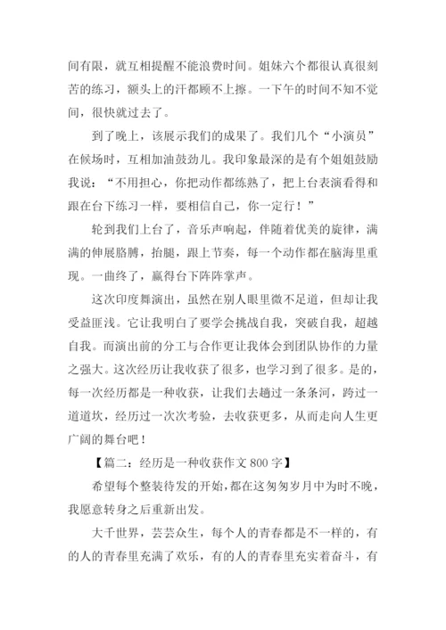 经历是一种收获作文800字.docx