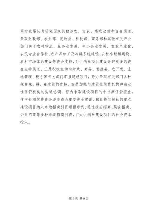 全省供销社系统项目建设指导意见.docx