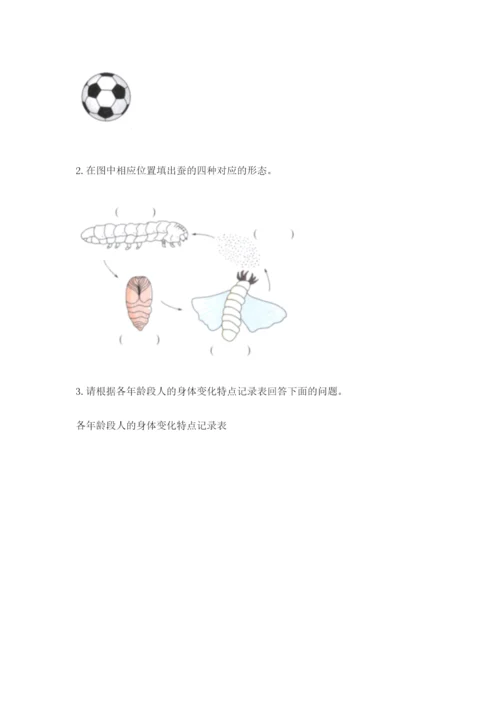 教科版科学三年级下册 期末测试卷含答案（精练）.docx