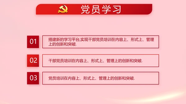 红色党支部党员代表大会工作总结PPT