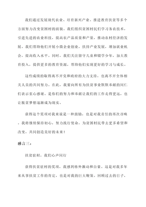 扶贫驻村获奖感言