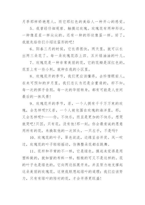描写玫瑰花瓣的句子.docx