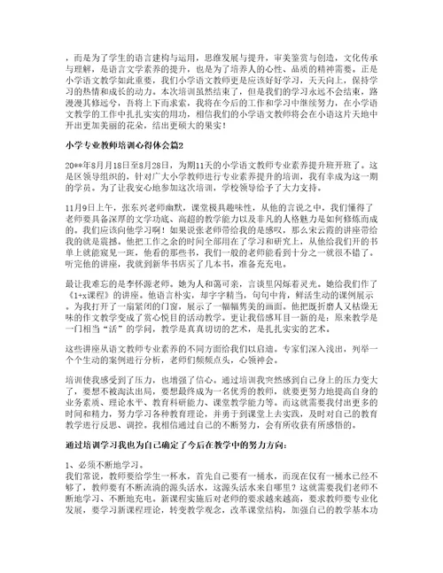 小学专业教师培训心得体会篇