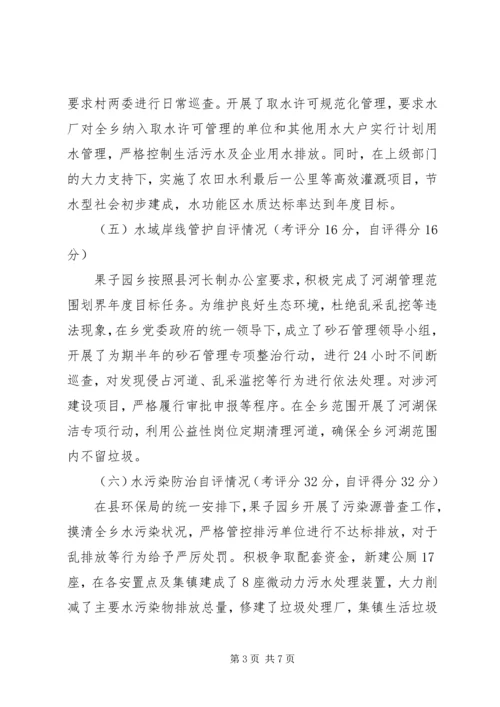 乡镇某年度河长制自评工作总结.docx