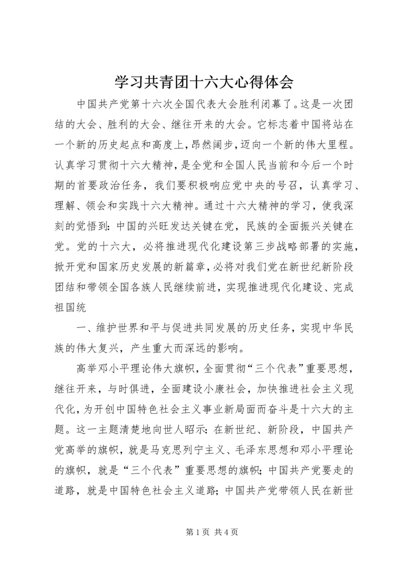 学习共青团十六大心得体会 (4).docx