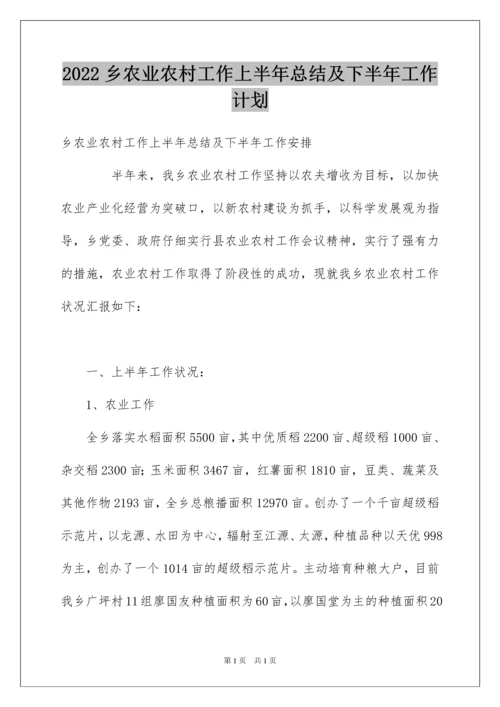 2022乡农业农村工作上半年总结及下半年工作计划.docx