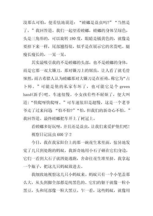 2024年观察日记昆虫600字范文