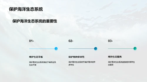 守护蓝海：可持续之路