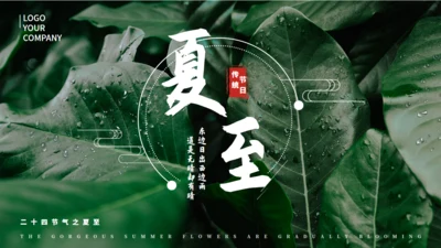 夏天的绿叶二十四节气夏至通用PPT模板