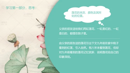 冰心《荷叶母亲》中学语文PPT课件