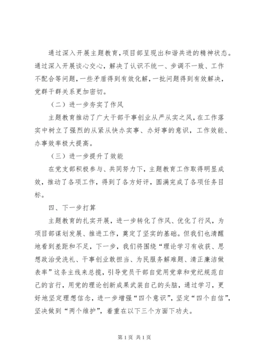 党委党支部关于XX年主题教育进展情况的工作总结汇报报告.docx