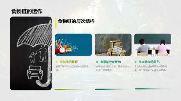 探秘动物世界