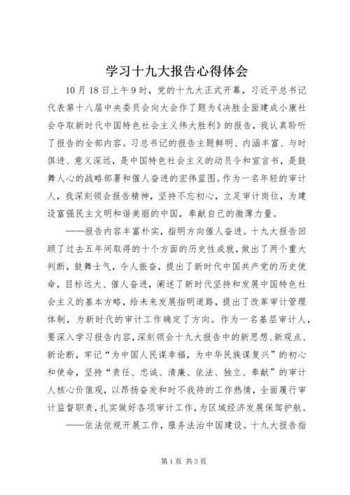 学习十九大报告心得体会 (30).docx