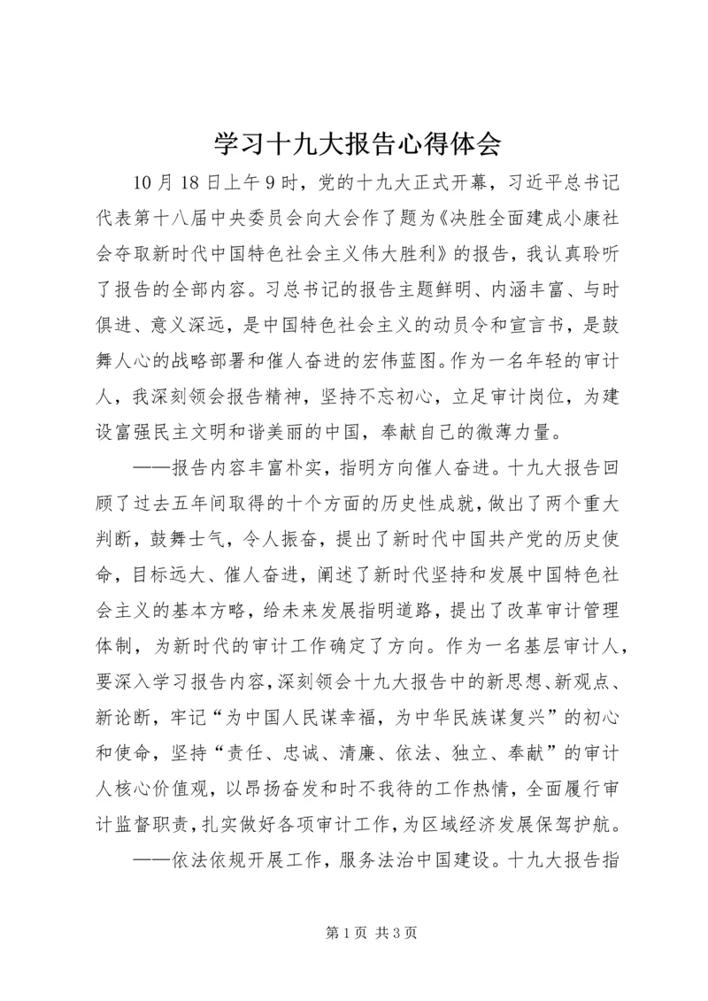 学习十九大报告心得体会 (30).docx