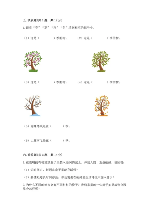 教科版小学二年级上册科学期末测试卷【考点精练】.docx