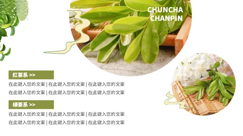 茶叶茶庄春茶产品上新介绍手册通用PPT模板