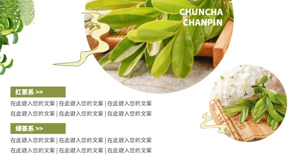 茶叶茶庄春茶产品上新介绍手册通用PPT模板