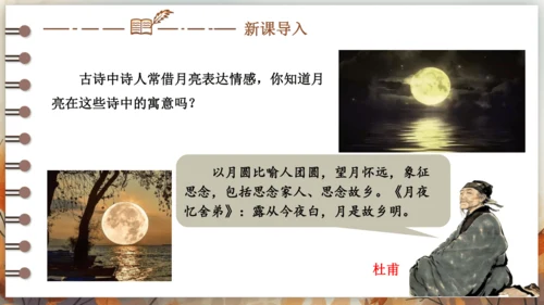 第三单元 课外古诗词诵读——太常引·建康中秋夜为吕叔潜赋  课件(共19张PPT) 2024-202