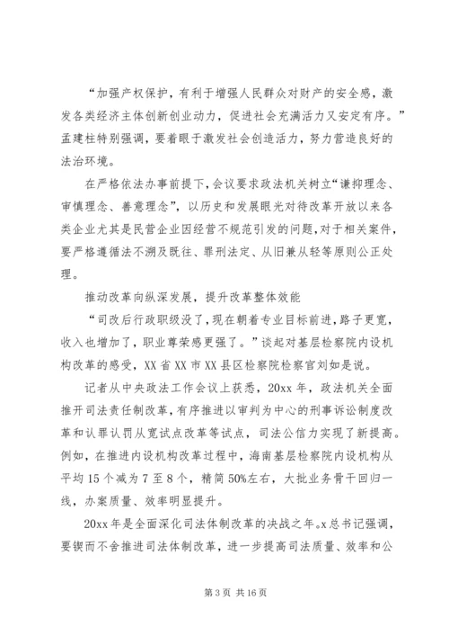 学习XX年政法工作会议精神心得体会.docx