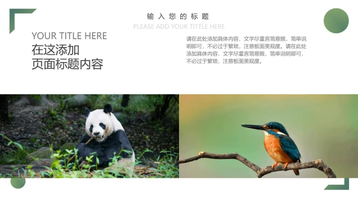 人与自然大熊猫活动宣传通用PPT模板