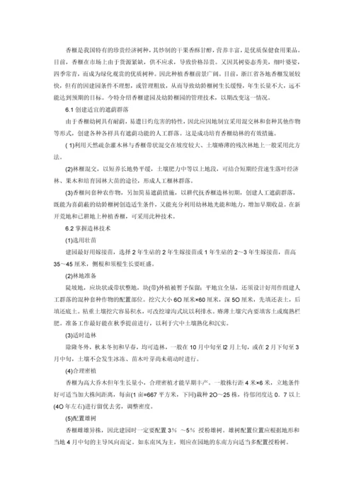 苗木香榧种植项目建议书.docx