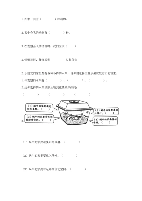 教科版一年级下册科学期末测试卷（达标题）.docx