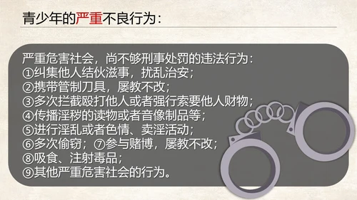 青少年法制教育普法讲座PPT课件