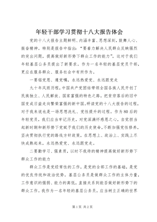 年轻干部学习贯彻十八大报告体会.docx