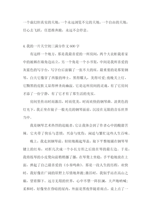 我的一片天空初三满分作文600字5篇.docx