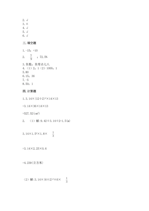 人教版六年级下册数学期末测试卷（典型题）word版.docx