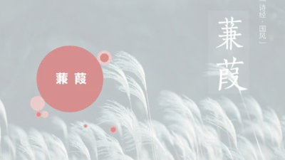 第12课 《诗经》二首——蒹葭 课件(共17张PPT)