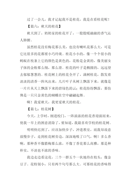 描写桂花的作文300字.docx